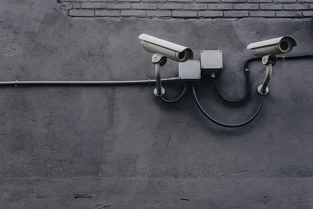 Cómo seleccionar el servicio de seguridad ideal para eventos