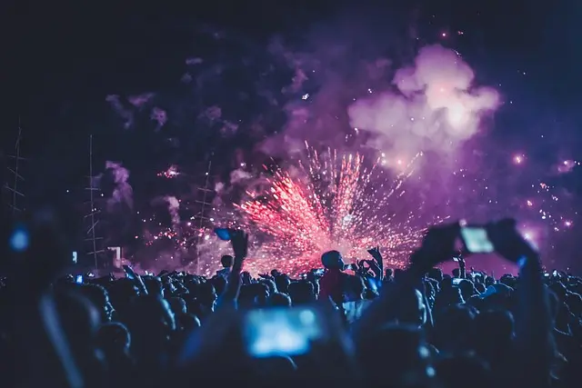 Cómo seleccionar el servicio de seguridad ideal para eventos